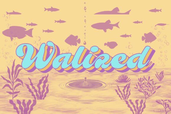 Walized: A Refined Font for Editorial Design